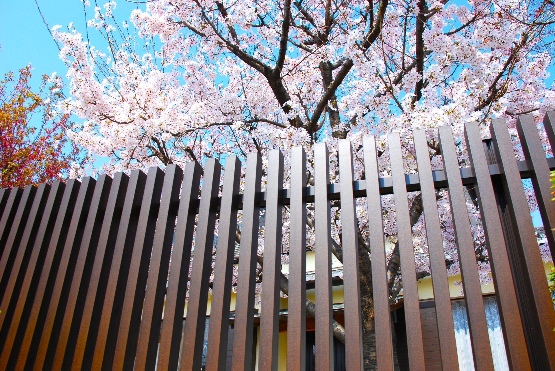 深谷市の和モダン外構