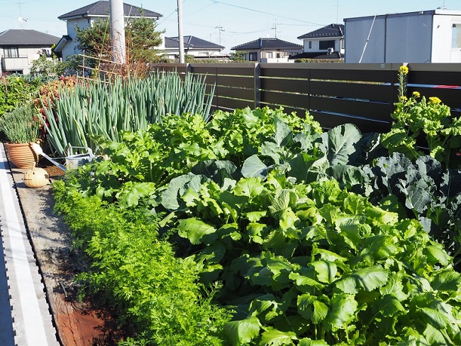 熊谷市　ブロックで囲んだお客様お手製の家庭菜園