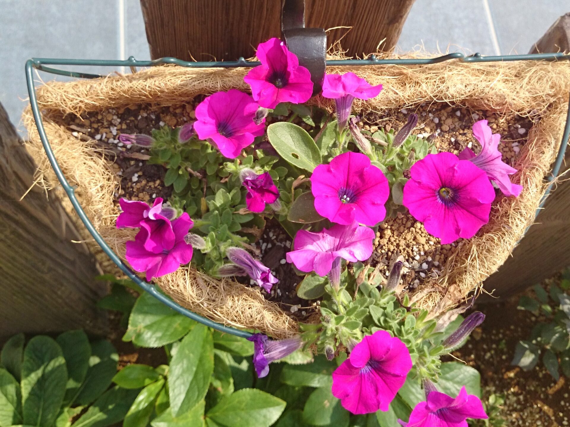 熊谷市　美しいタイルが広がるローメンテナンスが嬉しいお庭の花壇