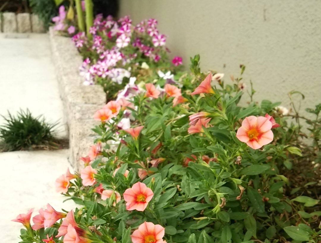 熊谷市のナチュラルな新築外構