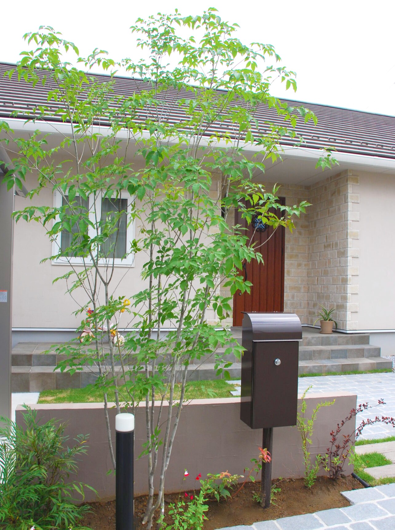 アオダモの特徴と豆知識　－涼しげな印象と季節感を感じられる落葉樹－例2