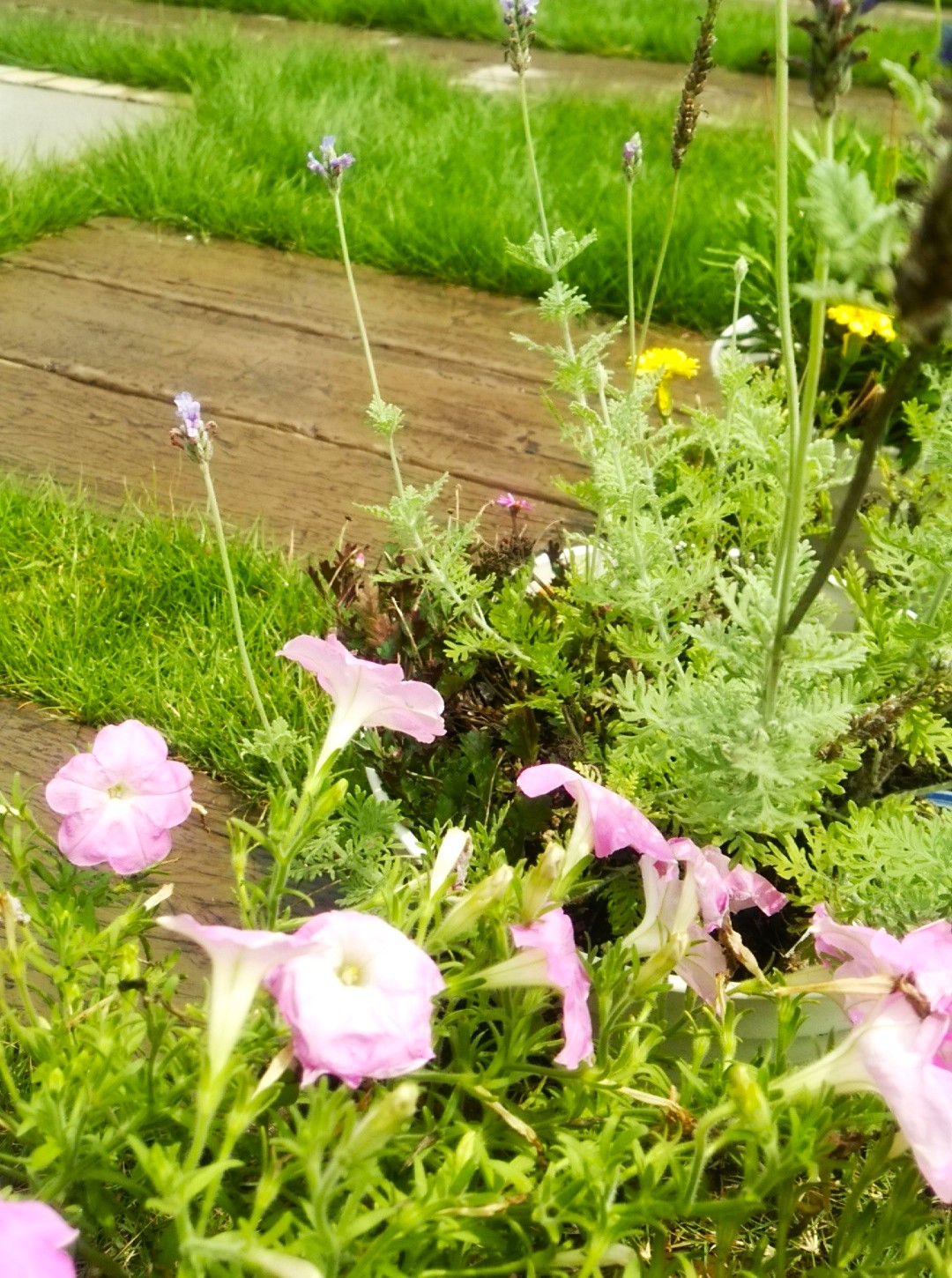 深谷市のナチュラルスタイルの施工事例