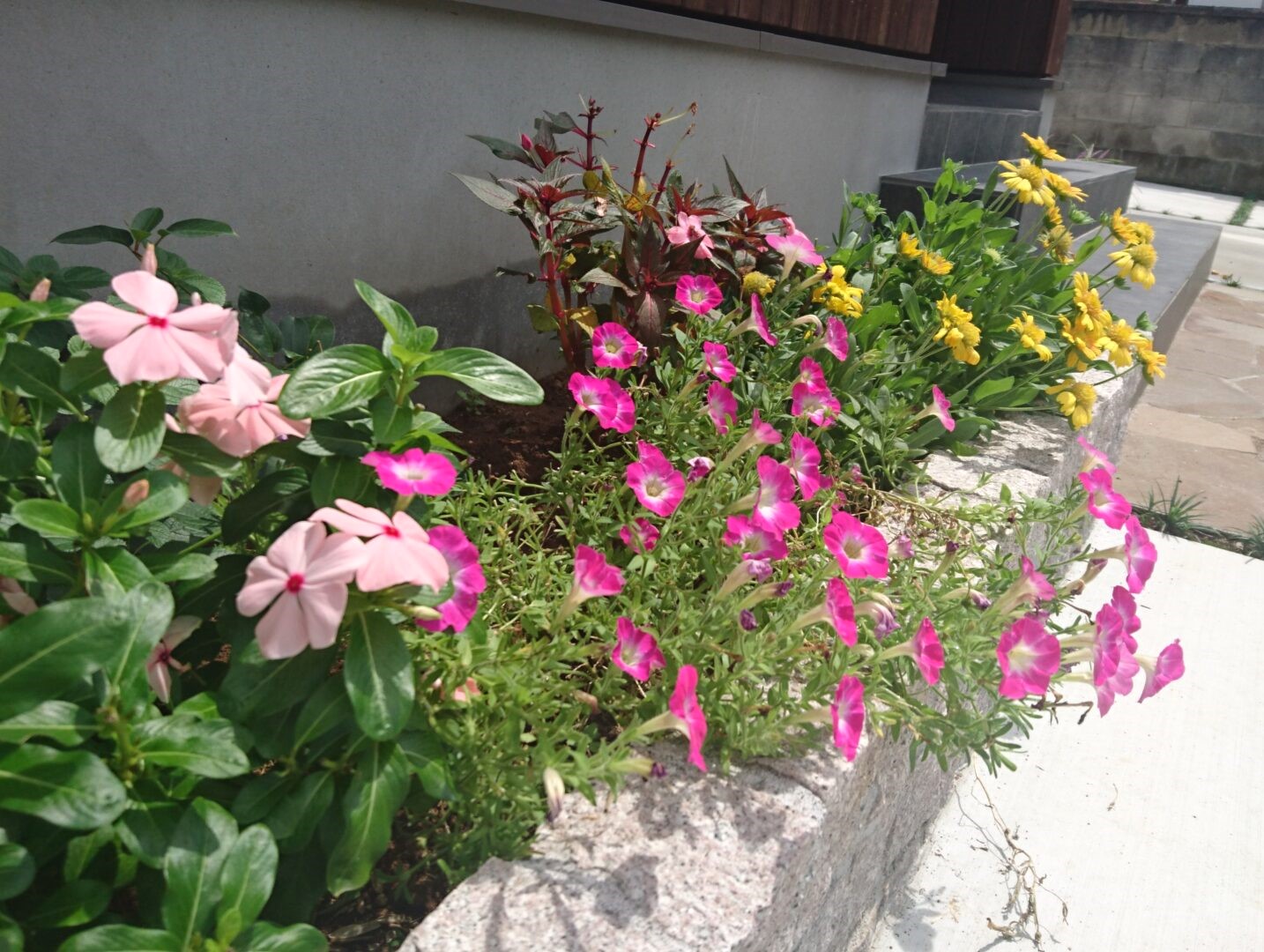 熊谷市のナチュラルな新築外構