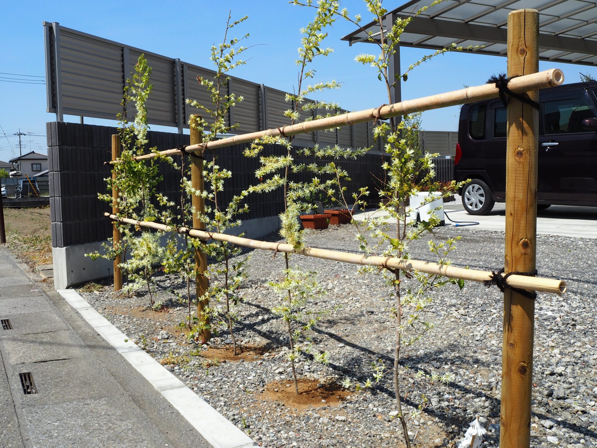 羽生市の緑が綺麗なシンプル外構の植栽
