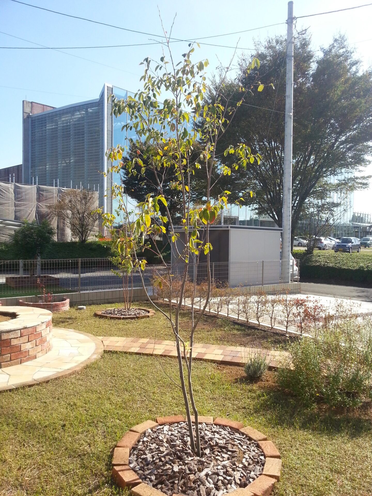 熊谷市のお庭のリフォーム　ナチュラルスタイル