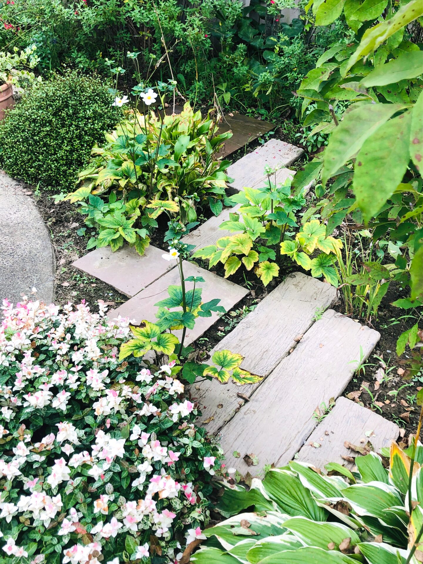 深谷市のお庭のリフォーム　ナチュラルスタイル