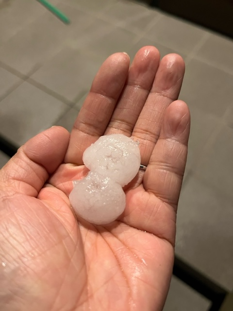 皆さんのお家はヒョウ被害大丈夫でしたか？