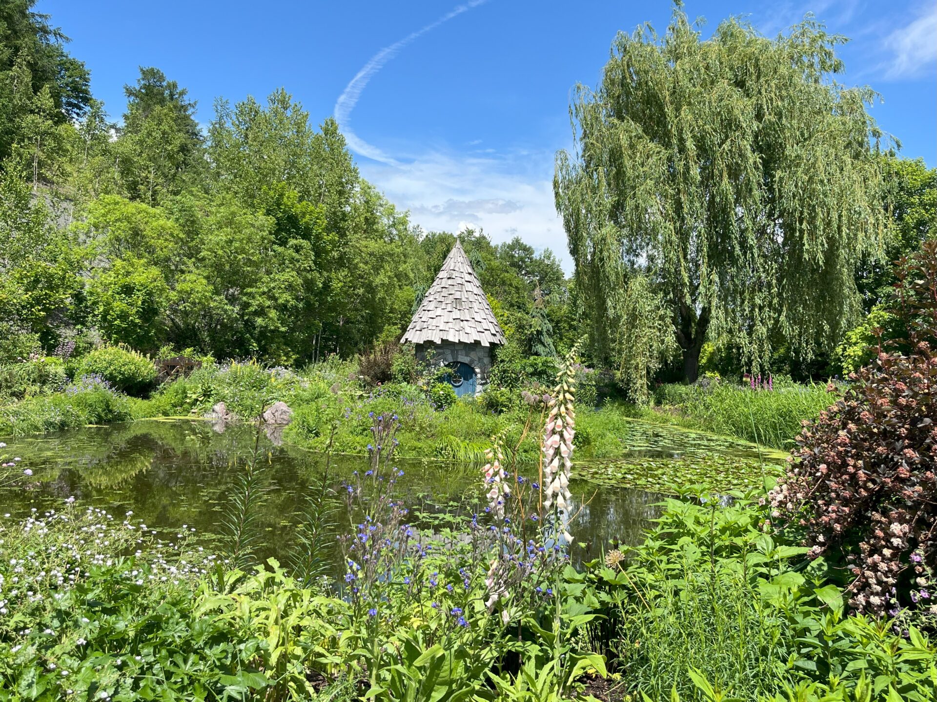 北の大地へ① UENO FARM