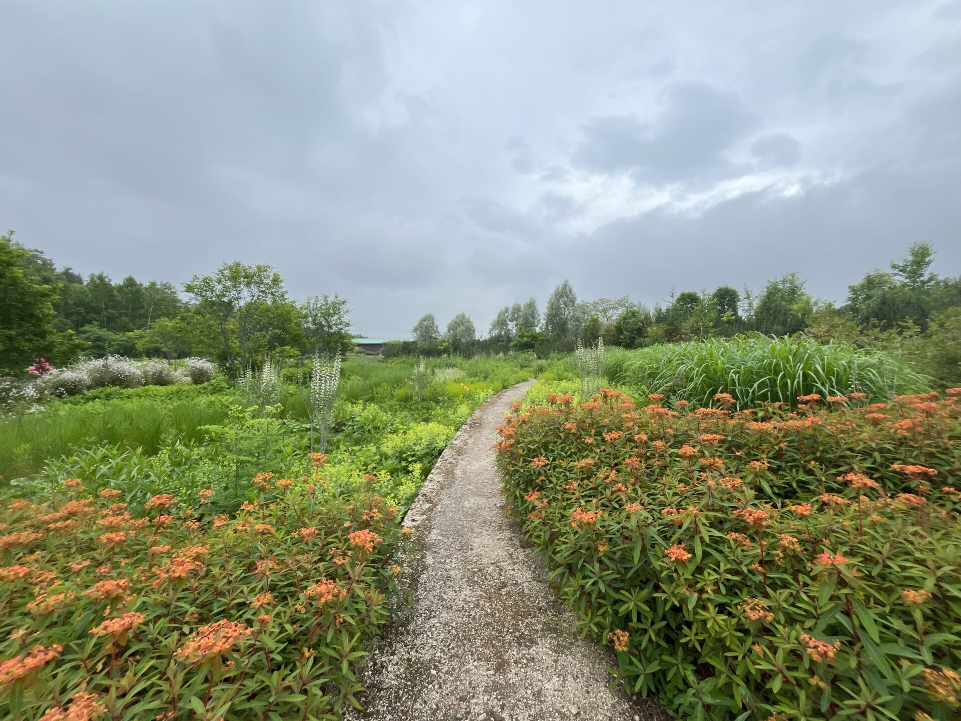 北の大地へ②十勝千年の森