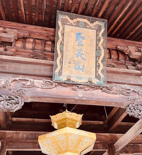 🌳はじめまして　アライです🌳