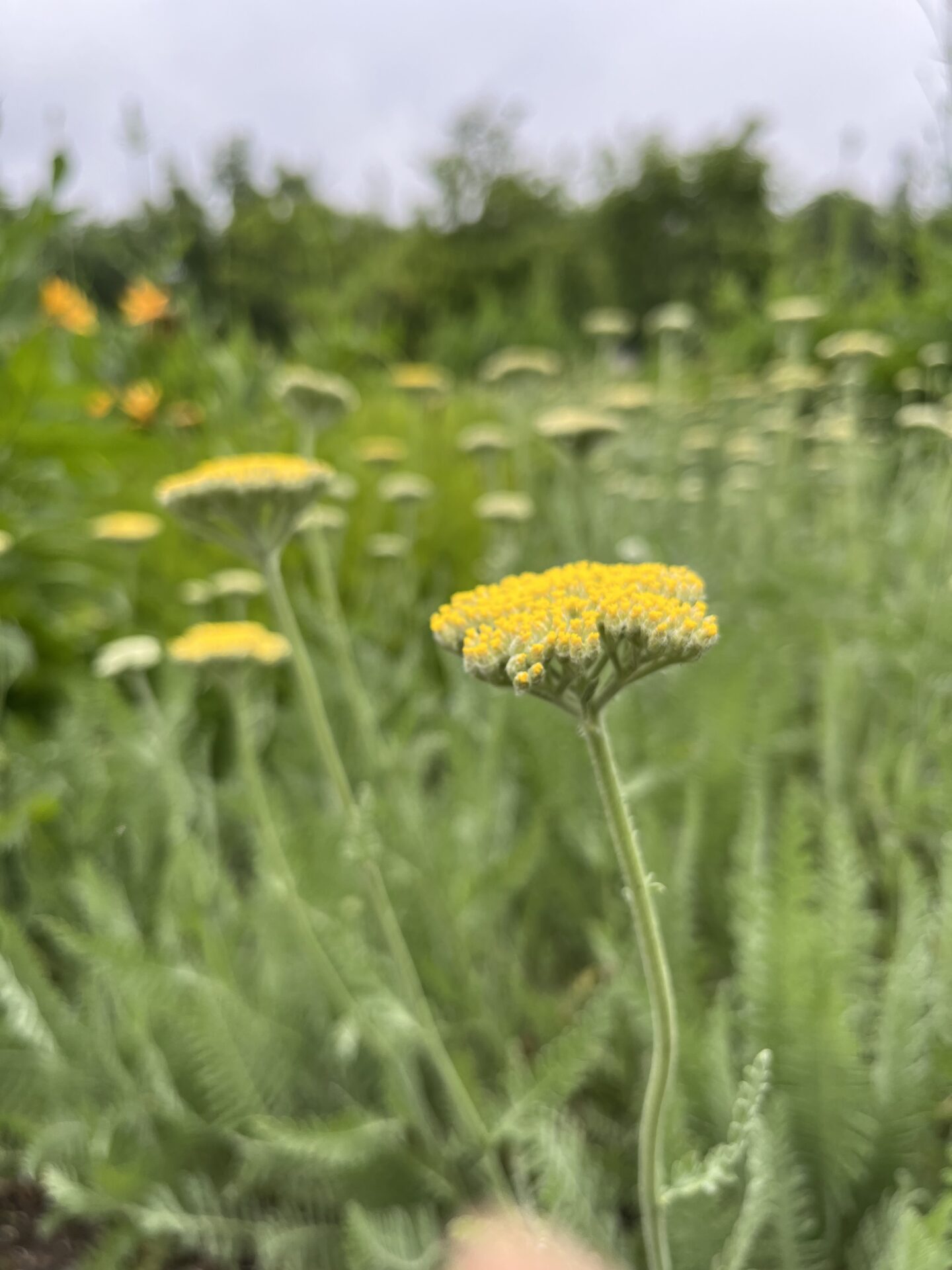 働きやすさとは