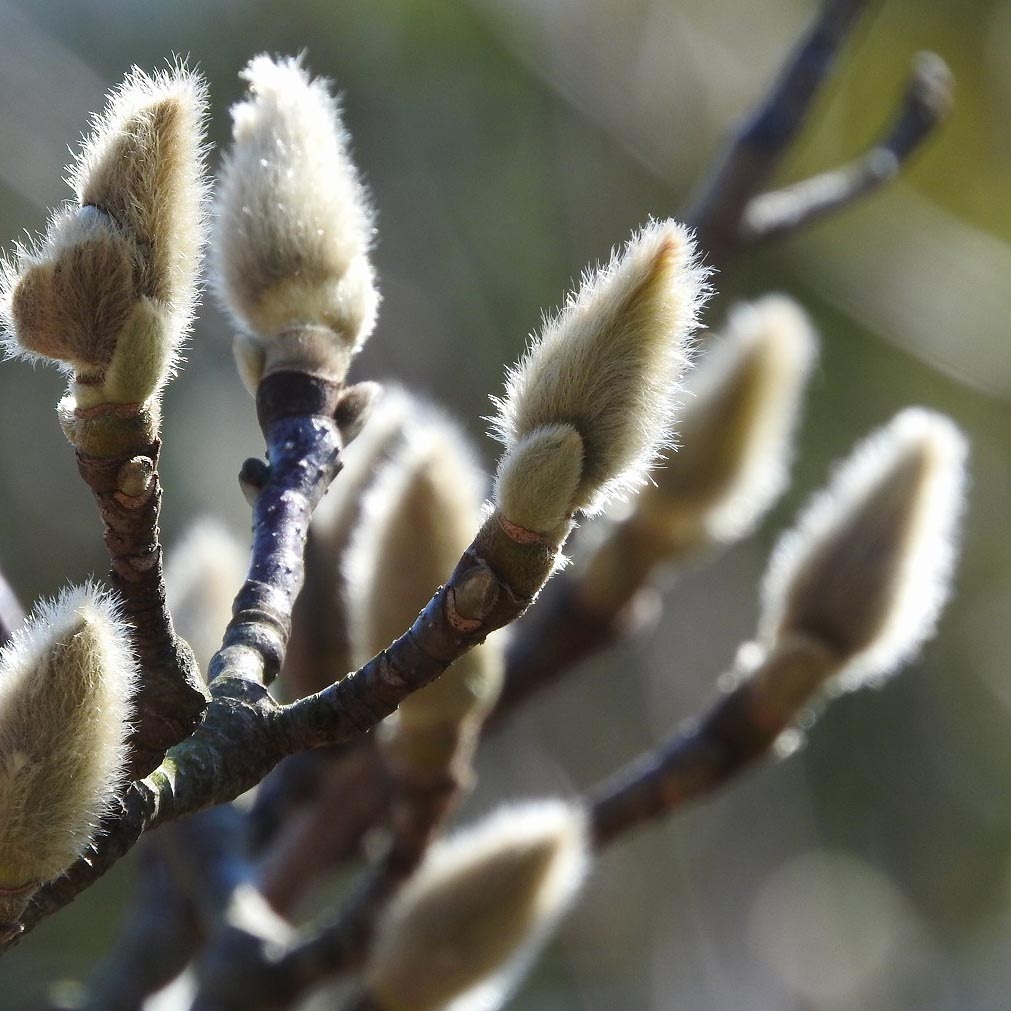 長引く寒波も過ぎて