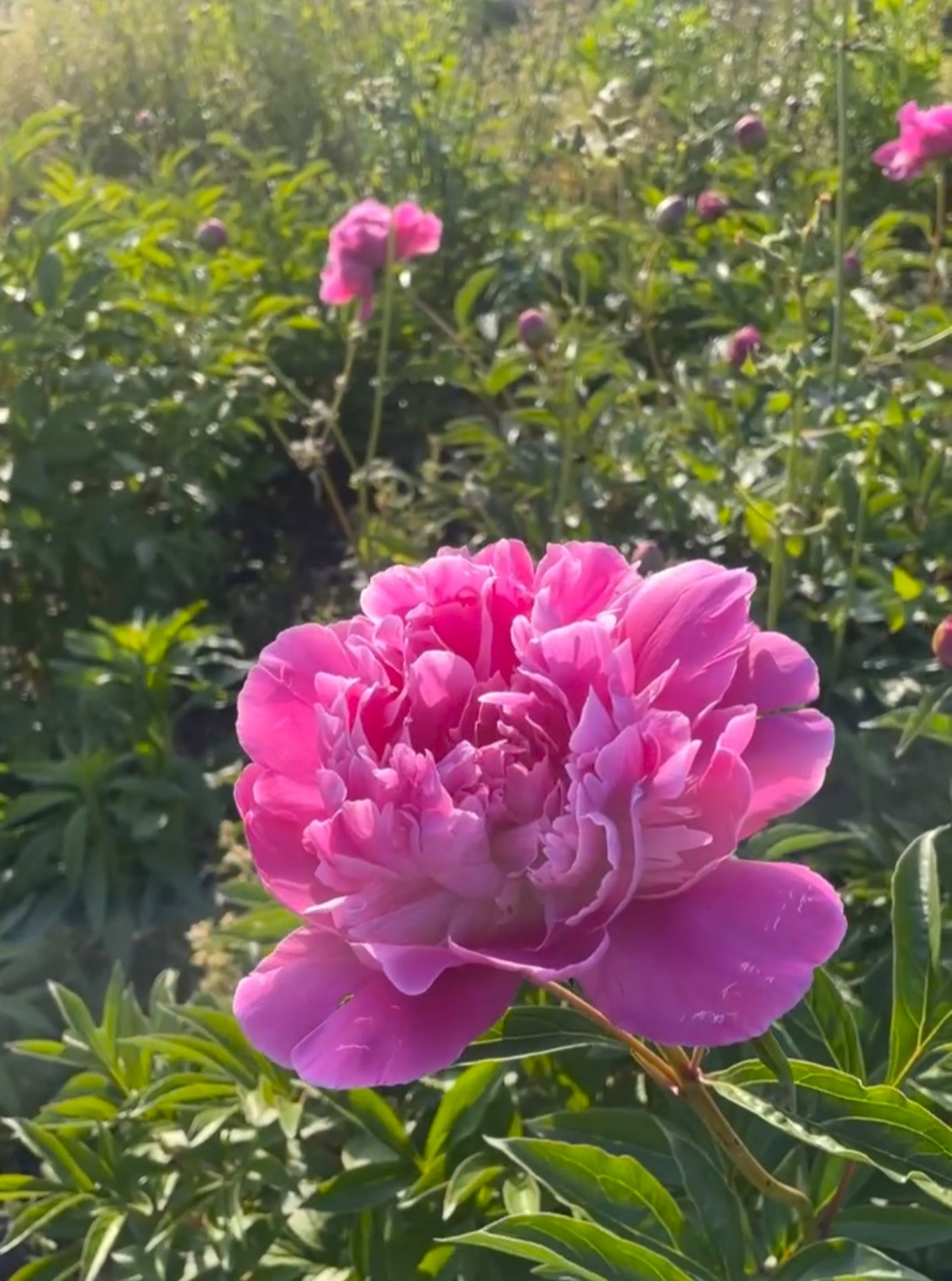 春も後半...夏の気配