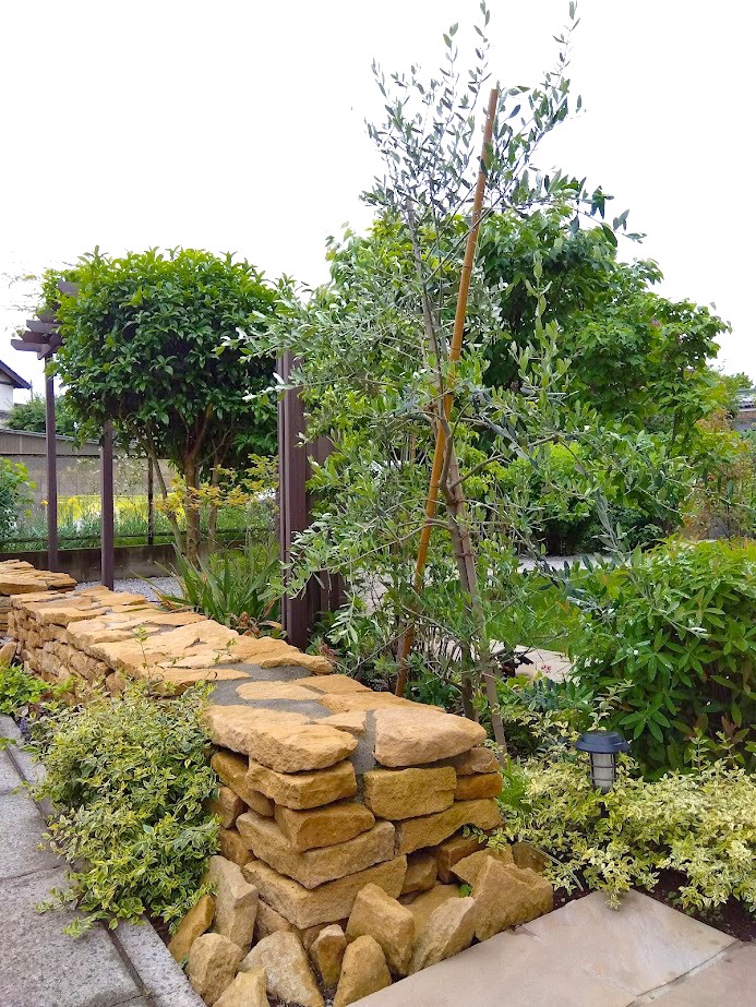 伊奈町 自然石と緑の映えるナチュラルガーデンの植栽