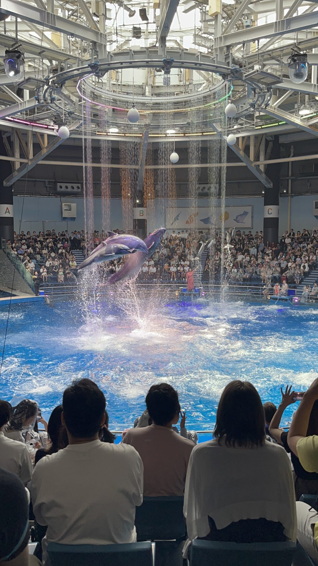 梅雨でも楽しめるスポットへ