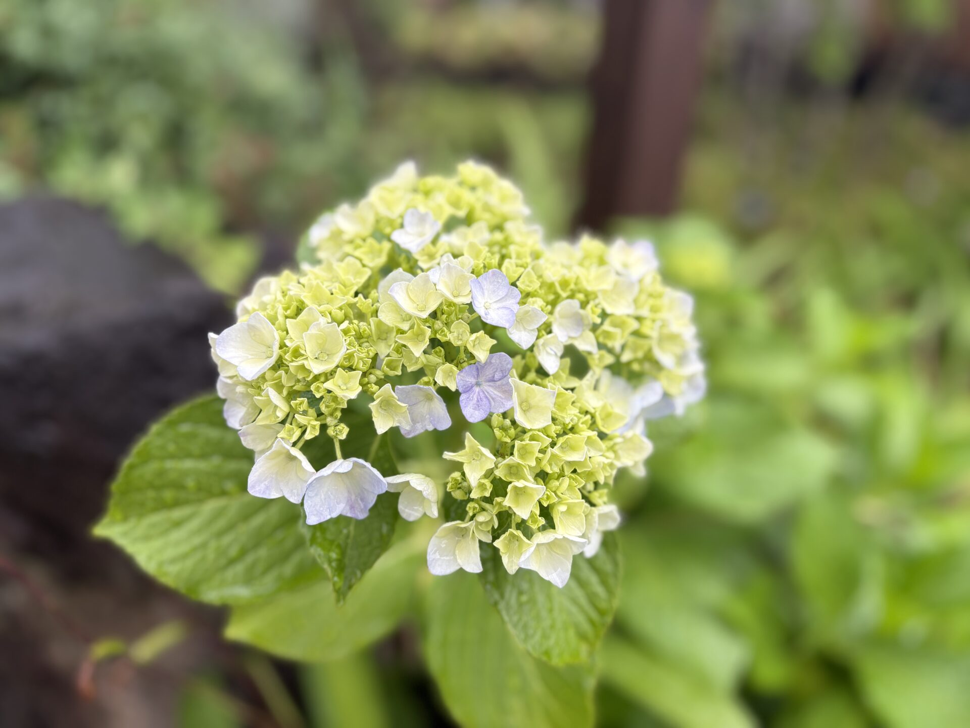 メーカーさんの展示場案内