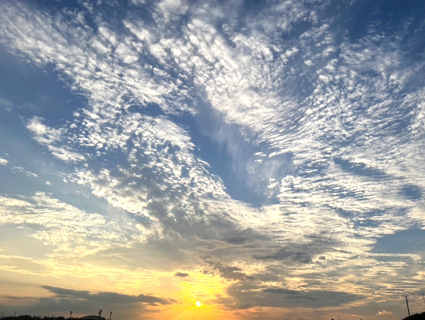 今週は少し涼しいみたいですね