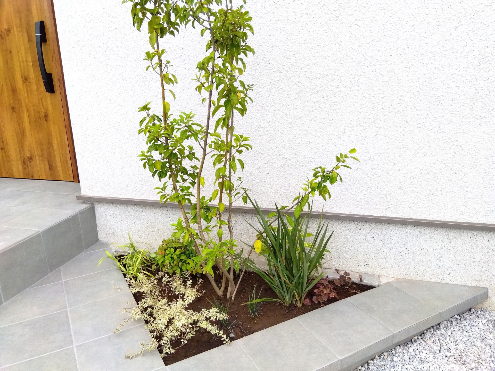 行田市 目隠しフェンスと植栽でつくる優しい暮らしの外構の植栽スペース