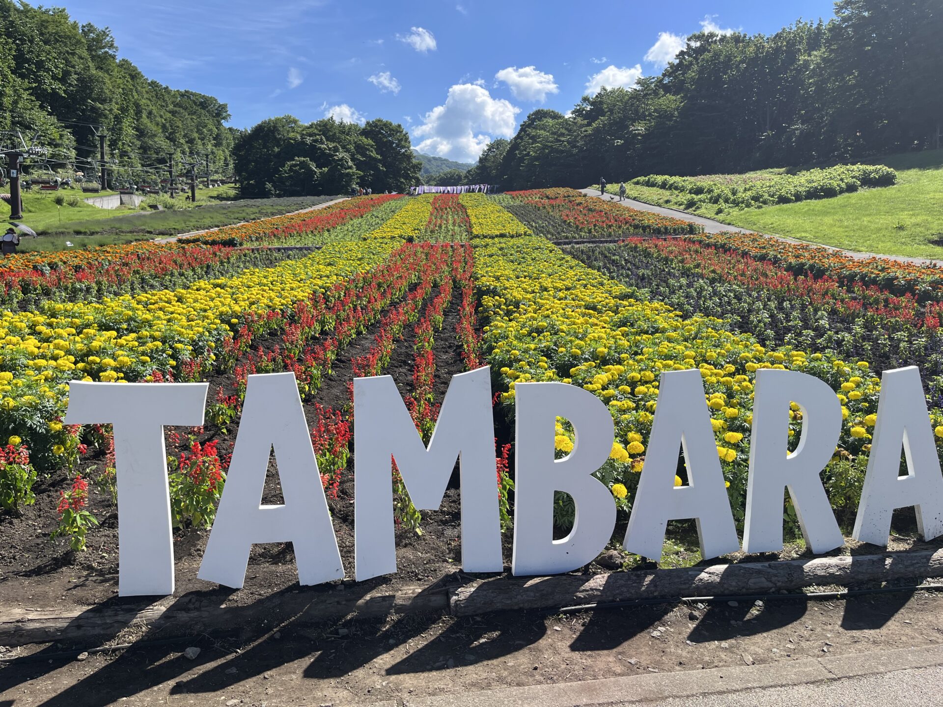 夏を満喫しました